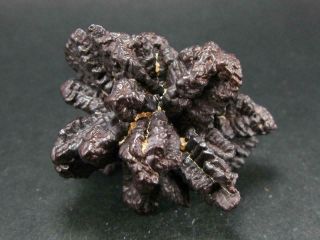 Very Rare 2.  3 " Z Stone Limonite After Marcasite From Sahara