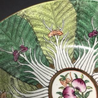 Japanese Porcelain Ware Green Bowl Hand Decorated Hong Kong ACF Leaves Moths 5
