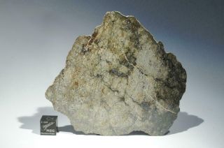 Impact Melt Eucrite (classified Awaiting Nwa Number) Meteorite Full Slice 18.  8g