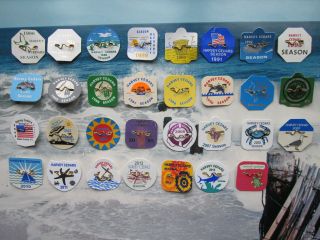 31 Years Harvey Cedars Jersey Beach Badge/tags