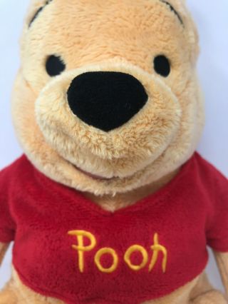 Disney Store Winnie The Pooh Plush 16 " Authentic Patch (11)