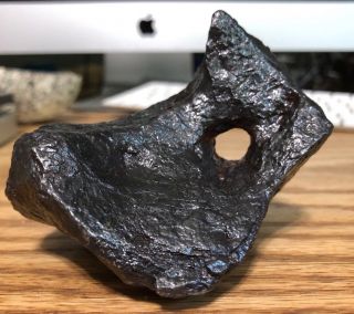 740gm.  Canyon Diablo Iron Meteorite ; Top Grade; Arizona,  Huge Burn Hole
