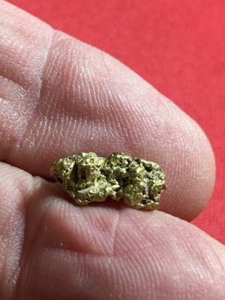 Natural Gold Nugget Specimen With Quartz Rock Bullion From Oregon 2.  02 Gram A79