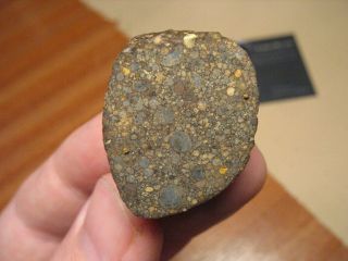 Meteorite Nwa 11752 - Prim.  Chondrite : Ll30.  5 (one Of The Only Four) - Main Mass