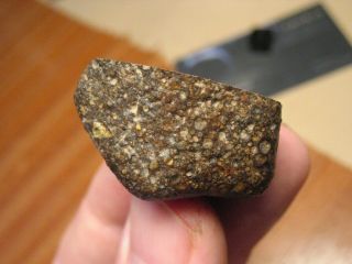 Meteorite NWA 11752 - Prim.  Chondrite : LL30.  5 (one of the only four) - MAIN MASS 2