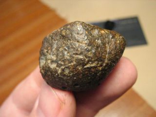 Meteorite NWA 11752 - Prim.  Chondrite : LL30.  5 (one of the only four) - MAIN MASS 3