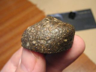 Meteorite NWA 11752 - Prim.  Chondrite : LL30.  5 (one of the only four) - MAIN MASS 4