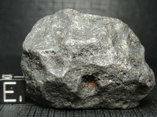 Meteorite - Campo del Cielo - Iron Meteorite - CDC - 4732 - 164.  0g Shape 2