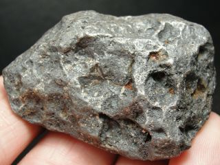 Meteorite - Campo del Cielo - Iron Meteorite - CDC - 4732 - 164.  0g Shape 4