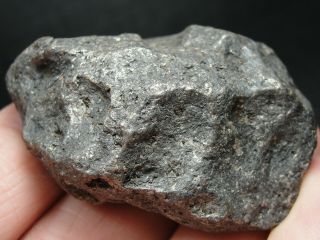 Meteorite - Campo del Cielo - Iron Meteorite - CDC - 4732 - 164.  0g Shape 5