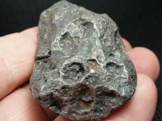Meteorite - Campo del Cielo - Iron Meteorite - CDC - 4732 - 164.  0g Shape 7
