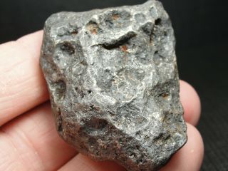 Meteorite - Campo del Cielo - Iron Meteorite - CDC - 4732 - 164.  0g Shape 8