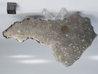 Nwa 859 Taza Iron - Ungrouped Found 2001 87.  6 Grams Whole Slice