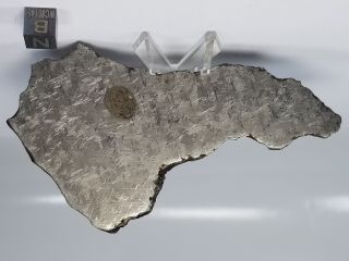 NWA 859 Taza Iron - ungrouped Found 2001 87.  6 grams whole slice 2