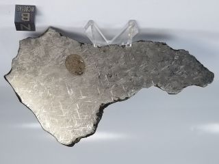 NWA 859 Taza Iron - ungrouped Found 2001 87.  6 grams whole slice 3