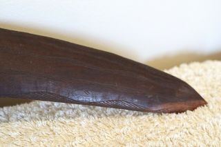 carved Australian aboriginal boomerang 1940 ' s - 1950 ' s 5