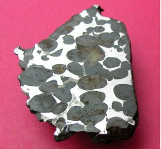 Sericho Pallasite Meteorite - 62.  1 Gram Polished End Cut