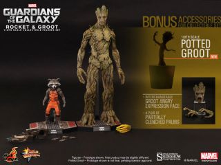 Hot Toys Gotg Rocket And Groot Exclusive Mms 1:6 Scale Figure Set