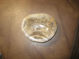 Petrified Wood Polished Bowl Smooth Edges 1.  8 Kg / 4 Pounds Indonesia Ash Tray 5