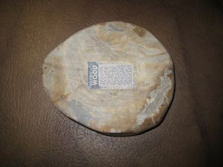 Petrified Wood Polished Bowl Smooth Edges 1.  8 Kg / 4 Pounds Indonesia Ash Tray 7