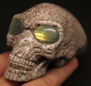 101mm 9.  2oz Natural Coral Fossil With Labradorite Eyes Crystal Alien Skull