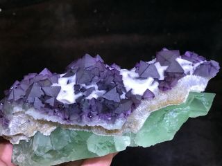 1.  1LB Purple and Green Octahedral Fluorite cluster on Quartz Matrix China 5