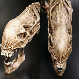 Predator Vs Alien Skull Fossil Resin Model Avp Figure Statue Collectible Toy