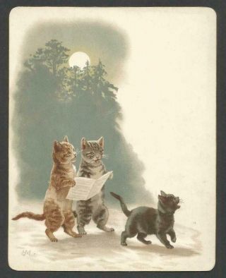 L98 - Anthropomorphic Cats Singing By Moonlight - Helena Maguire Victorian Card
