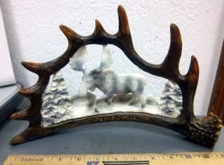 Alaska Resin Made Moose Antler Carving,  Bull Moose & Trees,  13 X 8 ",