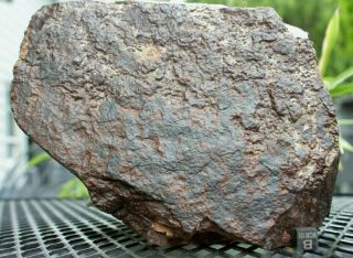 NWA Unclassified Meteorite 7408 gram large individual with characteristics 6