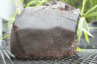 NWA Unclassified Meteorite 7408 gram large individual with characteristics 7