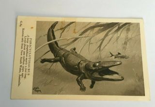 Paracyclotosaurus Dinosaur Postcard,  British Museum Natural History,  Neave Parker