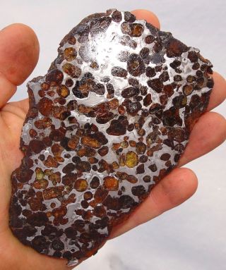 Sericho Pallasite Meteorite From Habaswein Kenya Africa