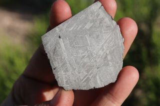 Muonionalusta Meteorite Etched Part Slice 51.  3 Grams