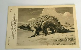 Scelidosaurus Dinosaur Postcard,  British Museum Natural History,  Neave Parker