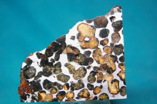 Sericho Pallasite meteorite 193.  6 grams 2
