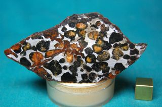 Sericho Pallasite Meteorite 110.  2 Grams