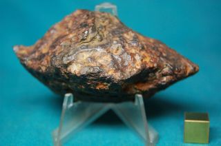 Sericho Pallasite meteorite 110.  2 grams 2