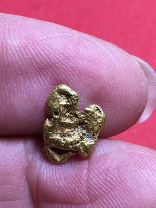 Natural Gold Nugget Specimen With Quartz Rock Bullion From Oregon 1.  72 Gram A71