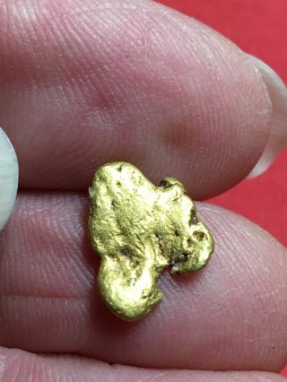 Natural Gold Nugget Specimen With Quartz Rock Bullion From Oregon 1.  72 Gram A71 2