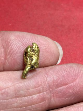 Natural Gold Nugget Specimen With Quartz Rock Bullion From Oregon 2.  54 Gram A76