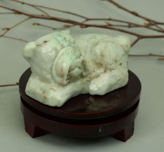 Cert ' d Untreated 2 Color Nature jadeite Jade Statue Sculpture dog 狗 z73825T 3