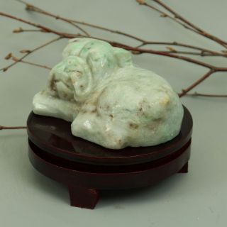 Cert ' d Untreated 2 Color Nature jadeite Jade Statue Sculpture dog 狗 z73825T 4