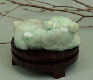 Cert ' d Untreated 2 Color Nature jadeite Jade Statue Sculpture dog 狗 z73825T 5