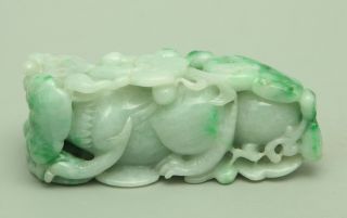 Cert ' d Untreated Green Nature A jadeite Jade Statue Sculpture pixiu 貔貅 q69988H 5