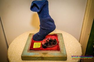 The Sacred Sock of Chewbacca Himself 2