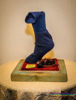 The Sacred Sock of Chewbacca Himself 5