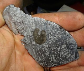 142 Gm.  Muonionalusta Etched Meteorite End Cut