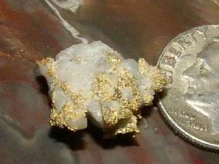 California Gold Quartz Specimen Natural Gold Nugget 3.  3 Grams Gold In Quartz