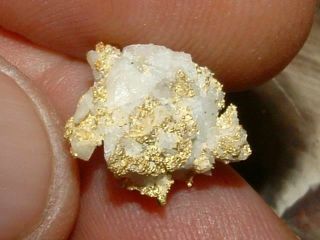 CALIFORNIA GOLD QUARTZ SPECIMEN NATURAL GOLD NUGGET 3.  3 GRAMS GOLD IN QUARTZ 7